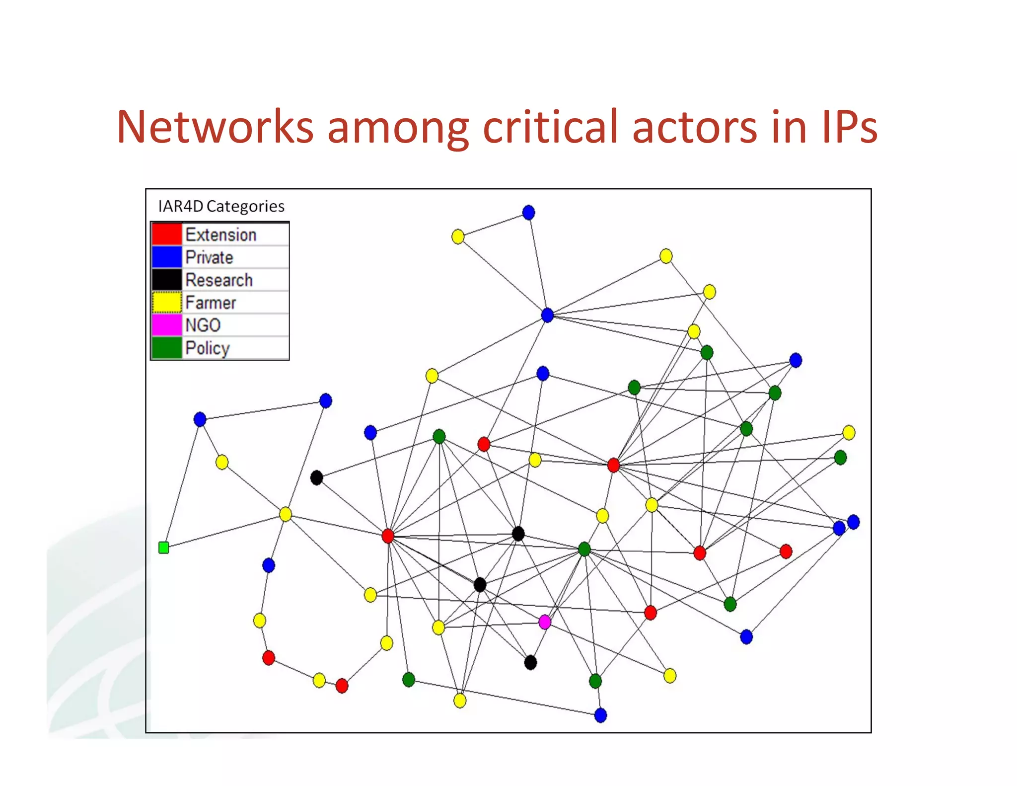 Networks among critical actors in IPs 
 