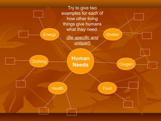 Human
Needs
FoodHealth
Oxygen
Clothing
ShelterEnergy
?
?
?
?
?
?
Try to give two
examples for each of
how other living
things give humans
what they need.
(Be specific and
unique!)
?
?
?
?
?
?
 
