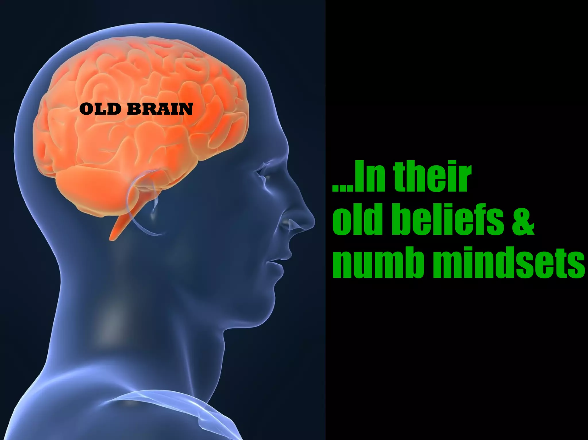 OLD BRAIN



            ...In their
            old beliefs &
            numb mindsets
 