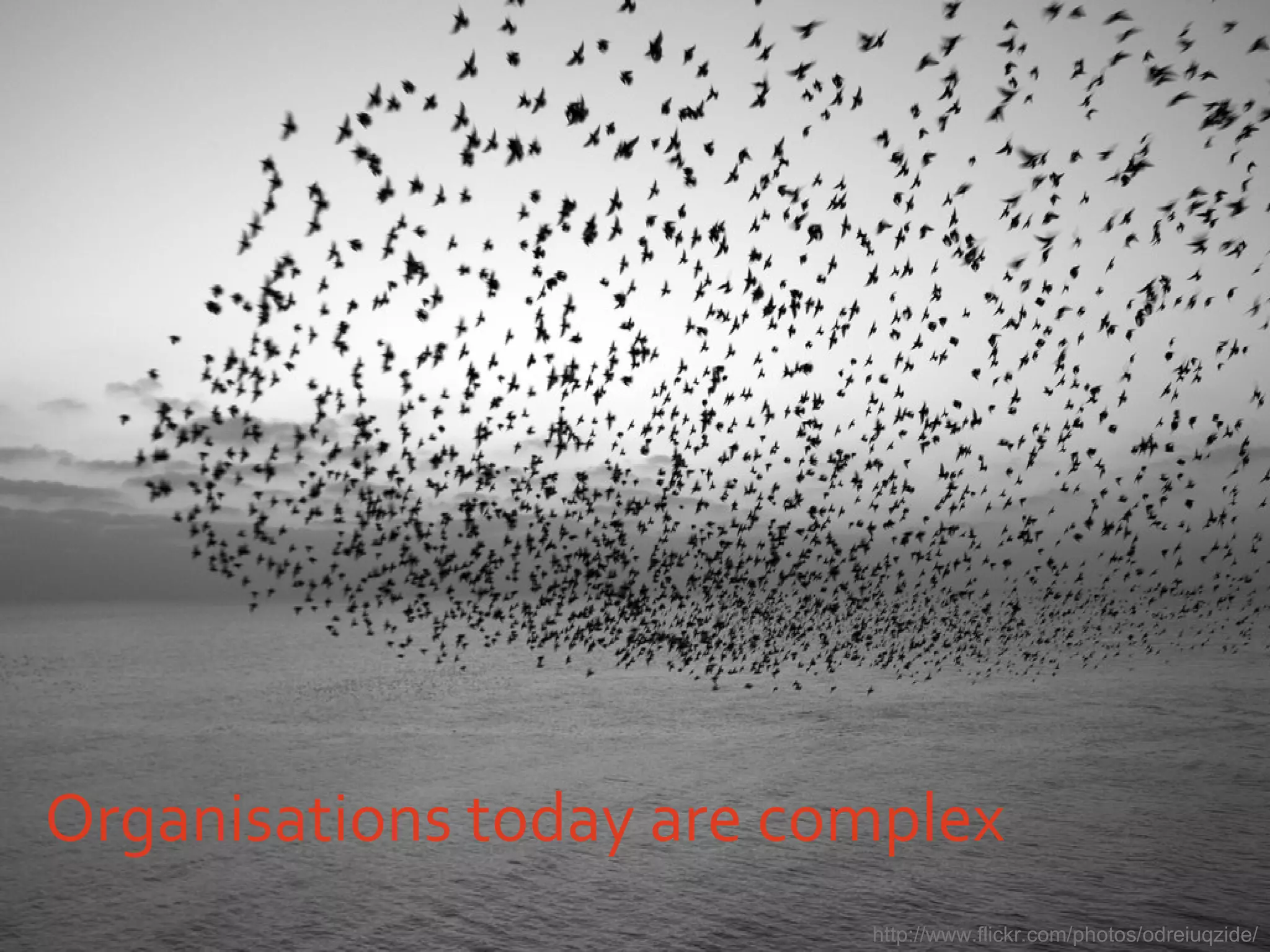 Organisations today are complex http://www.flickr.com/photos/odreiuqzide/ 