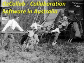 OzCollab - Collaboration Software in Australia 