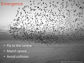 Emergence Fly to the centre Match speed Avoid collision http://www.flickr.com/photos/moriza/ 