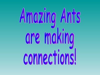 Amazing Ants  are making  connections! 