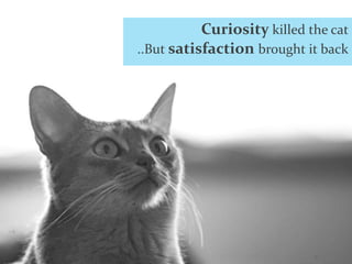 ..But satisfaction brought it back
Curiosity killed the cat
 