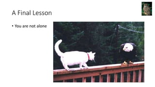 A Final Lesson
• You are not alone
 