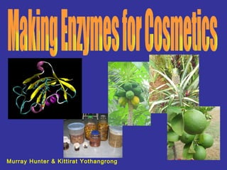 Making Enzymes for Cosmetics Murray Hunter & Kittirat Yothangrong 