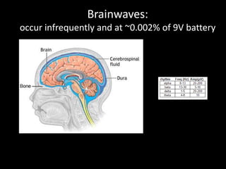 Brainwaves: 
occur infrequently and at ~0.002% of 9V battery 
 