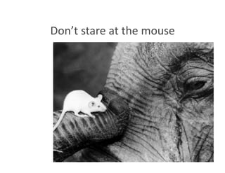 Don’t stare at the mouse 
 