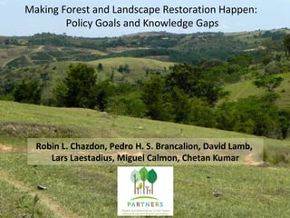 Making Forest and Landscape Restoration Happen:
Policy Goals and Knowledge Gaps
Robin L. Chazdon, Pedro H. S. Brancalion, David Lamb,
Lars Laestadius, Miguel Calmon, Chetan Kumar
 