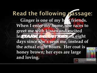 Ginger is one of my best friends.
When I enter my home, she races to
greet me with kisses and excited
leaps. She acts like it’s been eight
days since she’s seen me, instead of
the actual eight hours. Her coat is
honey brown; her eyes are large
and loving.
 