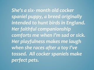 She’s a six- month old cocker
spaniel puppy, a breed originally
intended to hunt birds in England.
Her faithful companionship
comforts me when I’m sad or sick.
Her playfulness makes me laugh
when she races after a toy I’ve
tossed. All cocker spaniels make
perfect pets.

 