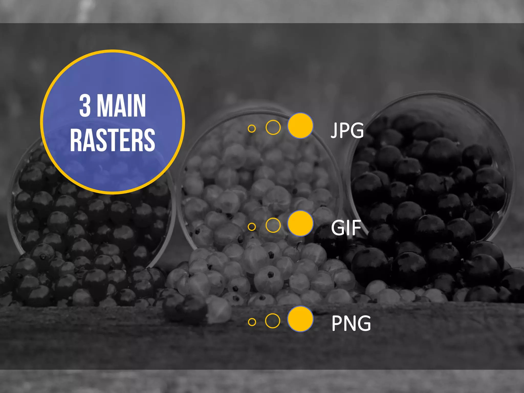 3 MAIN
RASTERs JPG
GIF
PNG
 