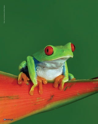 MakingIt 20Photo: www.shutterstock.com/Peter Reijners 
 