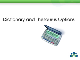 Dictionary and Thesaurus Options 