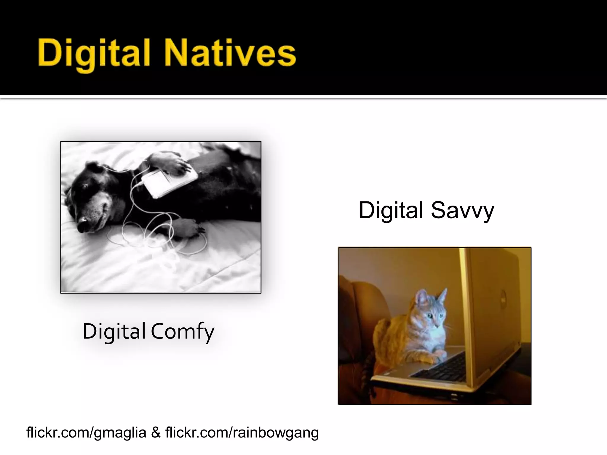 Digital Comfy
Digital Savvy
flickr.com/gmaglia & flickr.com/rainbowgang
 