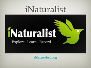 iNaturalist




  iNaturalist.org
 