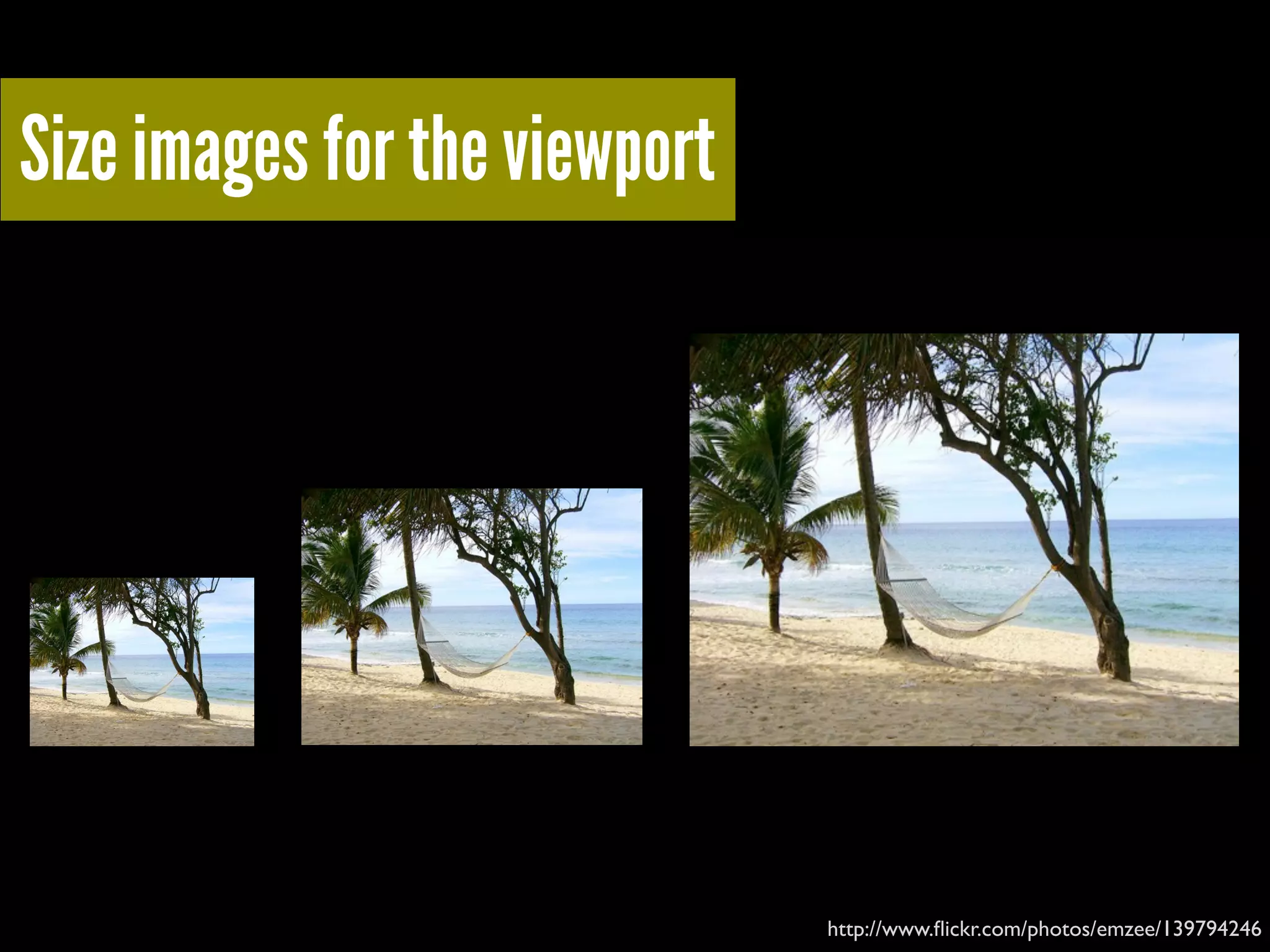 Size images for the viewport
http://www.ﬂickr.com/photos/emzee/139794246
 
