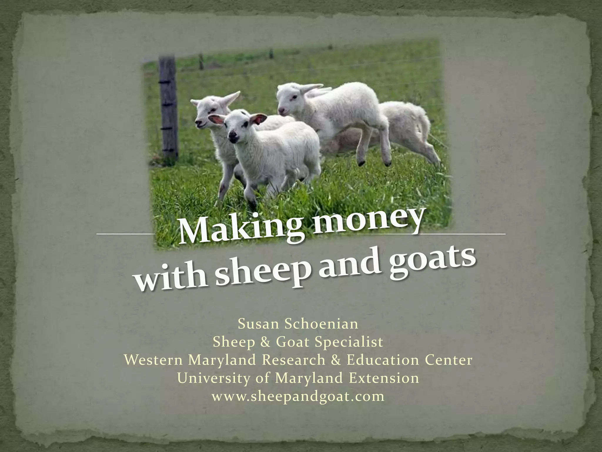 Making money with sheep and goats PPT