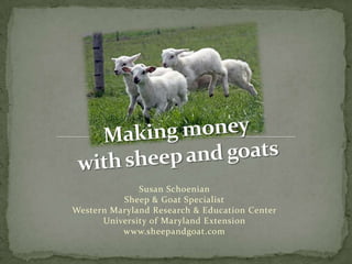 Making money with sheep and goats Susan SchoenianSheep & Goat SpecialistWestern Maryland Research & Education CenterUniversity of Maryland Extensionwww.sheepandgoat.com 