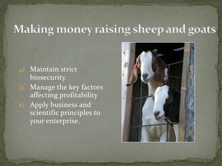make money raising goats