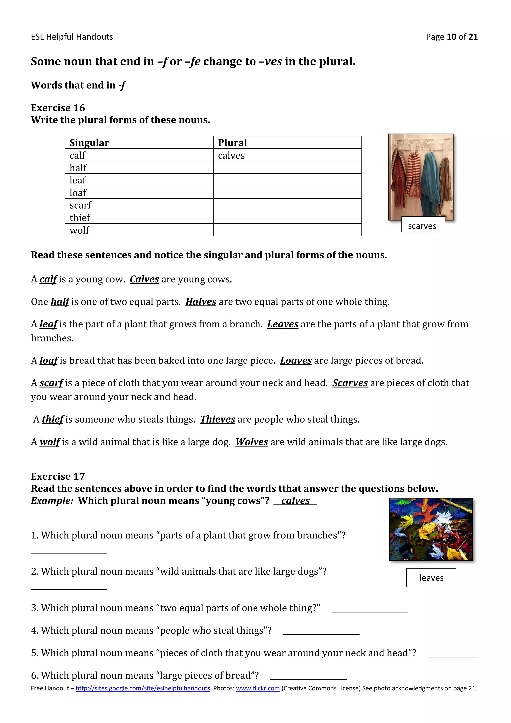 ESL Helpful Handouts                                                                                                                Page 10 of 21

Some noun that end in –f or –fe change to –ves in the plural.
Words that end in -f

Exercise 16
Write the plural forms of these nouns.

            Singular                                          Plural
            calf                                              calves
            half
            leaf
            loaf
            scarf
            thief
            wolf                                                                                                              scarves


Read these sentences and notice the singular and plural forms of the nouns.

A calf is a young cow. Calves are young cows.

One half is one of two equal parts. Halves are two equal parts of one whole thing.

A leaf is the part of a plant that grows from a branch. Leaves are the parts of a plant that grow from
branches.

A loaf is bread that has been baked into one large piece. Loaves are large pieces of bread.

A scarf is a piece of cloth that you wear around your neck and head. Scarves are pieces of cloth that
you wear around your neck and head.

A thief is someone who steals things. Thieves are people who steal things.

A wolf is a wild animal that is like a large dog. Wolves are wild animals that are like large dogs.


Exercise 17
Read the sentences above in order to find the words tthat answer the questions below.
Example: Which plural noun means “young cows”? __calves__


1. Which plural noun means “parts of a plant that grow from branches"?
____________________

2. Which plural noun means “wild animals that are like large dogs”?
                                                                                                                                  leaves
____________________

3. Which plural noun means “two equal parts of one whole thing?”                                     ____________________

4. Which plural noun means “people who steal things”?                               ____________________

5. Which plural noun means “pieces of cloth that you wear around your neck and head”?                                                _____________

6. Which plural noun means “large pieces of bread”?                             ____________________
Free Handout – http://sites.google.com/site/eslhelpfulhandouts Photos: www.flickr.com (Creative Commons License) See photo acknowledgments on page 21.
 