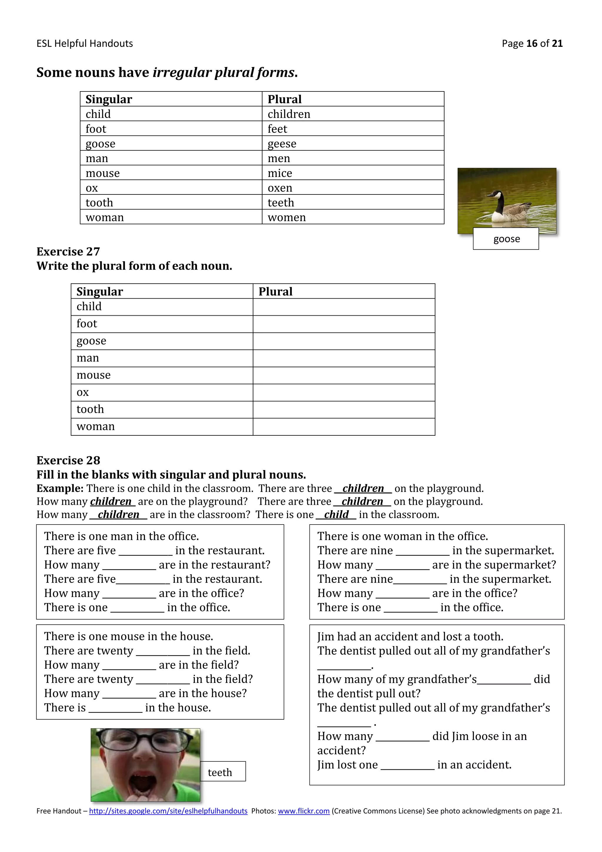 ESL Helpful Handouts                                                                                                                Page 16 of 21

Some nouns have irregular plural forms.
              Singular                                           Plural
              child                                              children
              foot                                               feet
              goose                                              geese
              man                                                men
              mouse                                              mice
              ox                                                 oxen
              tooth                                              teeth
              woman                                              women
                                                                                                                                  goose
Exercise 27
Write the plural form of each noun.

           Singular                                            Plural
           child
           foot
           goose
           man
           mouse
           ox
           tooth
           woman

Exercise 28
Fill in the blanks with singular and plural nouns.
Example: There is one child in the classroom. There are three __children__ on the playground.
How many children_ are on the playground? There are three __children__ on the playground.
How many __children__ are in the classroom? There is one __child__ in the classroom.
  There is one man in the office.                                               There is one woman in the office.
  There are five ____________ in the restaurant.                                There are nine ____________ in the supermarket.
  How many ____________ are in the restaurant?                                  How many ____________ are in the supermarket?
  There are five____________ in the restaurant.                                 There are nine____________ in the supermarket.
  How many ____________ are in the office?                                      How many ____________ are in the office?
  There is one ____________ in the office.                                      There is one ____________ in the office.

  There is one mouse in the house.                                              Jim had an accident and lost a tooth.
  There are twenty ____________ in the field.                                   The dentist pulled out all of my grandfather’s
  How many ____________ are in the field?                                       ____________.
  There are twenty ____________ in the field?                                   How many of my grandfather’s____________ did
  How many ____________ are in the house?                                       the dentist pull out?
  There is ____________ in the house.                                           The dentist pulled out all of my grandfather’s
                                                                                ____________ .
                                                                                How many ____________ did Jim loose in an
                                                                                accident?
                                                                                Jim lost one ____________ in an accident.
                                                teeth


Free Handout – http://sites.google.com/site/eslhelpfulhandouts Photos: www.flickr.com (Creative Commons License) See photo acknowledgments on page 21.
 