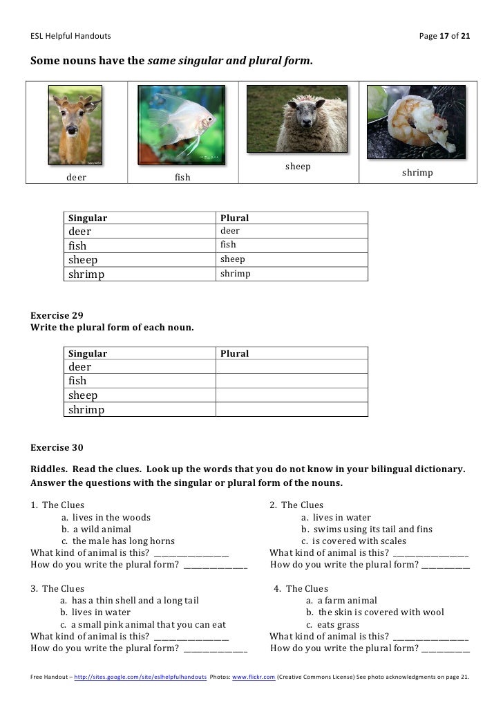 making nouns plural tornado plural form