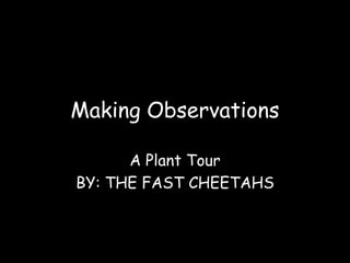 Making Observations  A Plant Tour BY: THE FAST CHEETAHS 