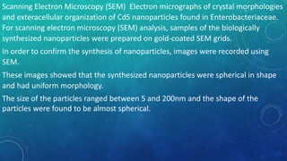 Scanning Electron Microscopy (SEM) Electron micrographs of crystal morphologies
and exteracellular organization of CdS nanoparticles found in Enterobacteriaceae.
For scanning electron microscopy (SEM) analysis, samples of the biologically
synthesized nanoparticles were prepared on gold-coated SEM grids.
In order to confirm the synthesis of nanoparticles, images were recorded using
SEM.
These images showed that the synthesized nanoparticles were spherical in shape
and had uniform morphology.
The size of the particles ranged between 5 and 200nm and the shape of the
particles were found to be almost spherical.
 