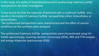 In this study, the ability of Enterobacteriaceae in synthesizing Cadmium sulfide
nanoparticles has been investigated.
It was found out that the exposure of bacterial cells to Cadmium Sulfide ions,
results in formation of Cadmium Sulfide nanoparticles either intracellulary or
extracellulary.
The synthesized nanoparticles were characterized and the effect of various
conditions on the synthesis were analyzed.
The synthesized Cadmium Sulfide nanoparticles were characterized using UV–
Visible spectroscopy, scanning electron microscopy (SEM), XRD and FTIR analysis
and energy-dispersive spectroscopy (EDS).
 