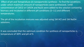 Effect of pH and Temperature on nanoparticles synthesis : To find the conditions
under which maximum amount of nanoparticles were synthesized, 1mM
concentration of CdCl2 or CdSO4 and Na2S were added to the solution containing
biomass and incubated in different pH conditions (5–11) and different
temperatures.
The pH of the incubation mixtures was adjusted using 1M HCl and 1M NaOH
solutions.
It was concluded that the optimum condition for synthesis of nanoparticles is
temperature of 30ºC and pH of 9.
 