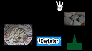 Third
We made false rocks with paper mache
(We wait one day until they dried)
When we had the rocks, put the rocks on the green zone.
 