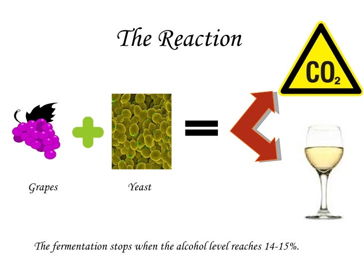 Making Of Wine