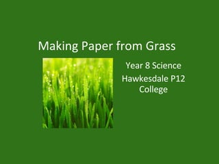 Making Paper from Grass Year 8 Science Hawkesdale P12 College 