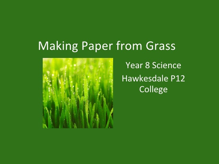 Making Paper From Grass