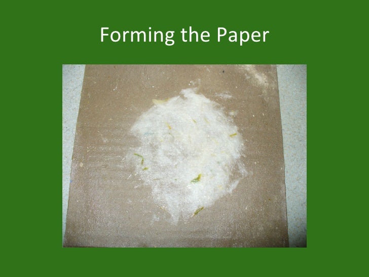 Making Paper From Grass