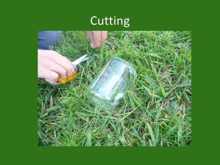 Making Paper From Grass