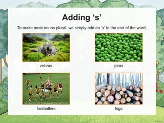 Adding ‘s’
To make most nouns plural, we simply add an ‘s’ to the end of the word.
zebras peas
footballers logs
“DSC_0247“DSC_0247” by Tom Reynolds “DSC_0247” by Tom
Reynolds is licensed under CC BY 2.0
 