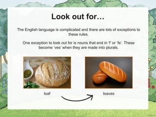 Look out for…
The English language is complicated and there are lots of exceptions to
these rules.
One exception to look out for is nouns that end in ‘f’ or ‘fe’. These
become ‘ves’ when they are made into plurals.
loaf loaves
 