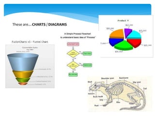 These are…CHARTS / DIAGRAMS
 