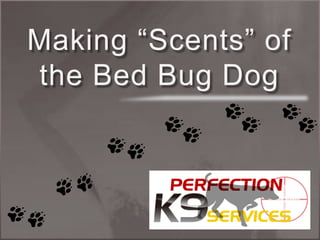 Making “Scents” of the Bed Bug Dog 
