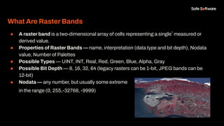 Making Sense of Raster: From Bit Depth to Better Workflows | PDF