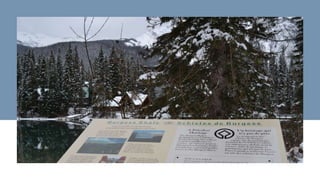 Making Space for Fossils presentation.pptx