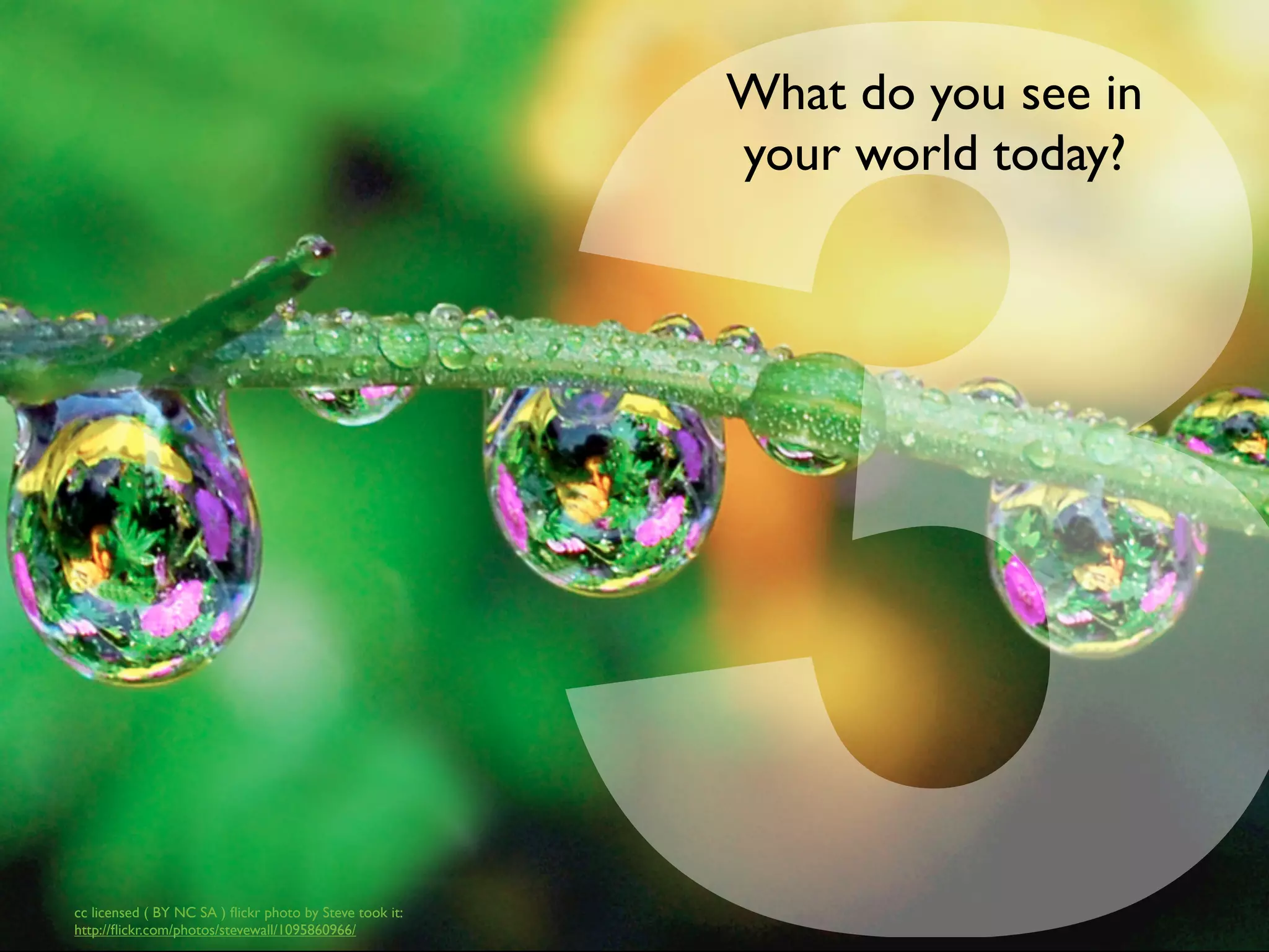 3
What do you see in
your world today?
cc licensed ( BY NC SA ) ﬂickr photo by Steve took it:
http://ﬂickr.com/photos/stevewall/1095860966/
 