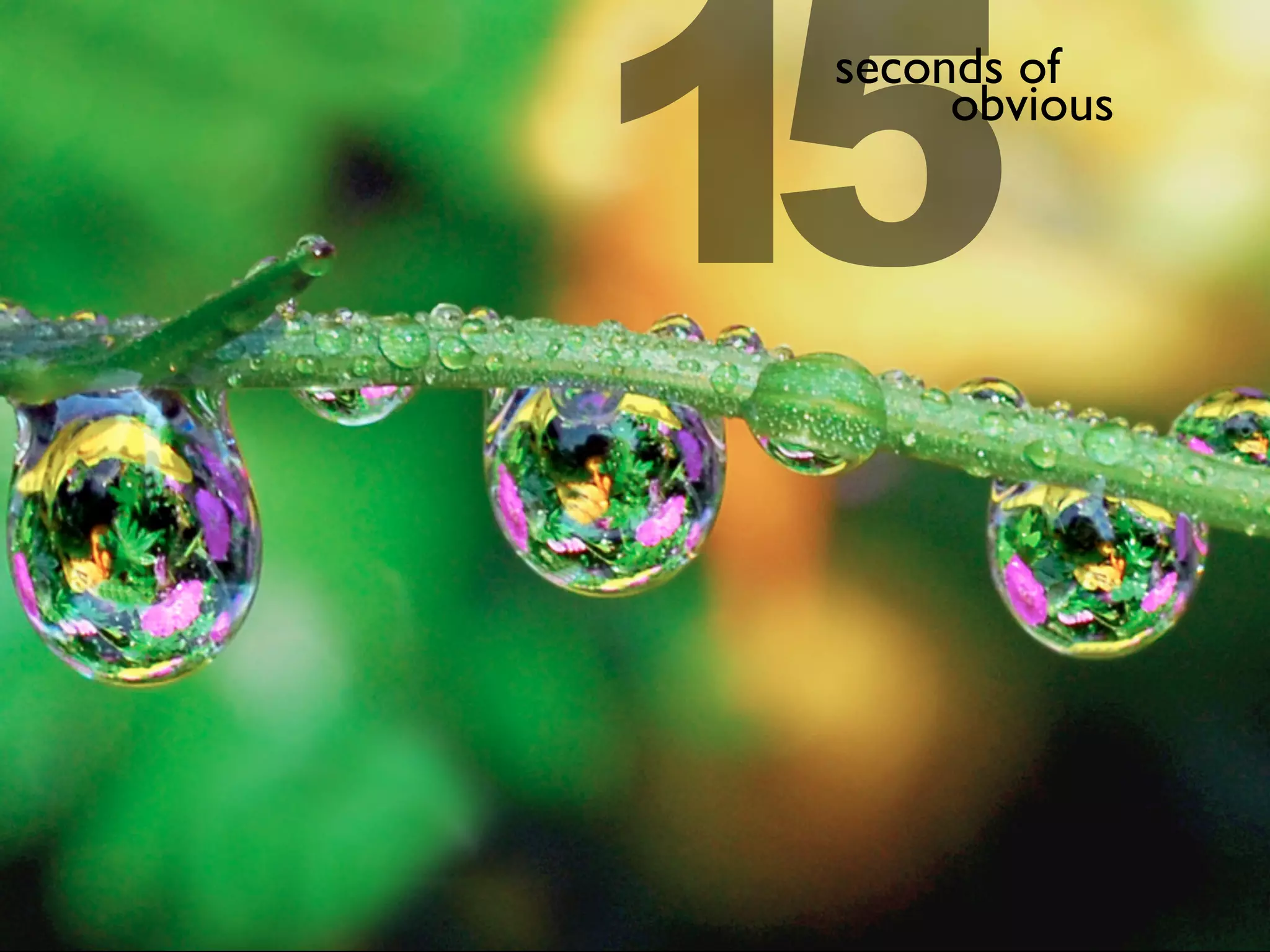 15seconds of
obvious
 