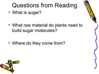 Photosynthesis Lesson 2 | PPT
