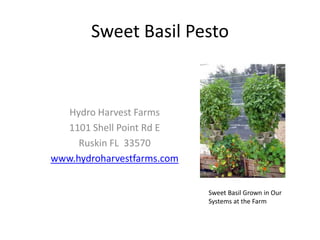 Sweet Basil Pesto
Hydro Harvest Farms
1101 Shell Point Rd E
Ruskin FL 33570
www.hydroharvestfarms.com
Sweet Basil Grown in Our
Systems at the Farm
 