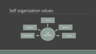 Self organization values
Self
organizationCommitment
Respect
Focus
Openness
Courage
 