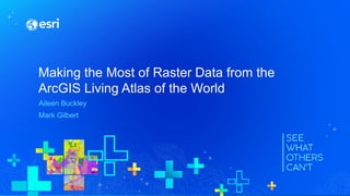 Making the Most of Raster Data from the
ArcGIS Living Atlas of the World
Aileen Buckley
Mark Gilbert
 