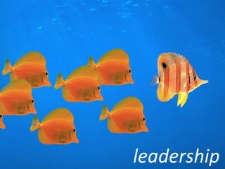 leadership 
